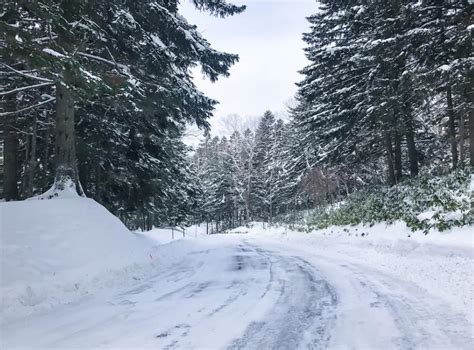 12生肖相沖|越冷越開花！2生肖「大雪後」由黑翻紅 運勢爆棚 